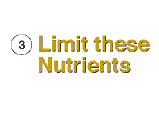 #3. Limit These Nutrients: Total Fat, Saturated Fat, Cholesterol, and Sodium.