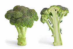 Broccoli+nutrition+facts